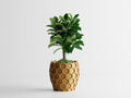Honeycomb Hexagon 3D Printed Planter