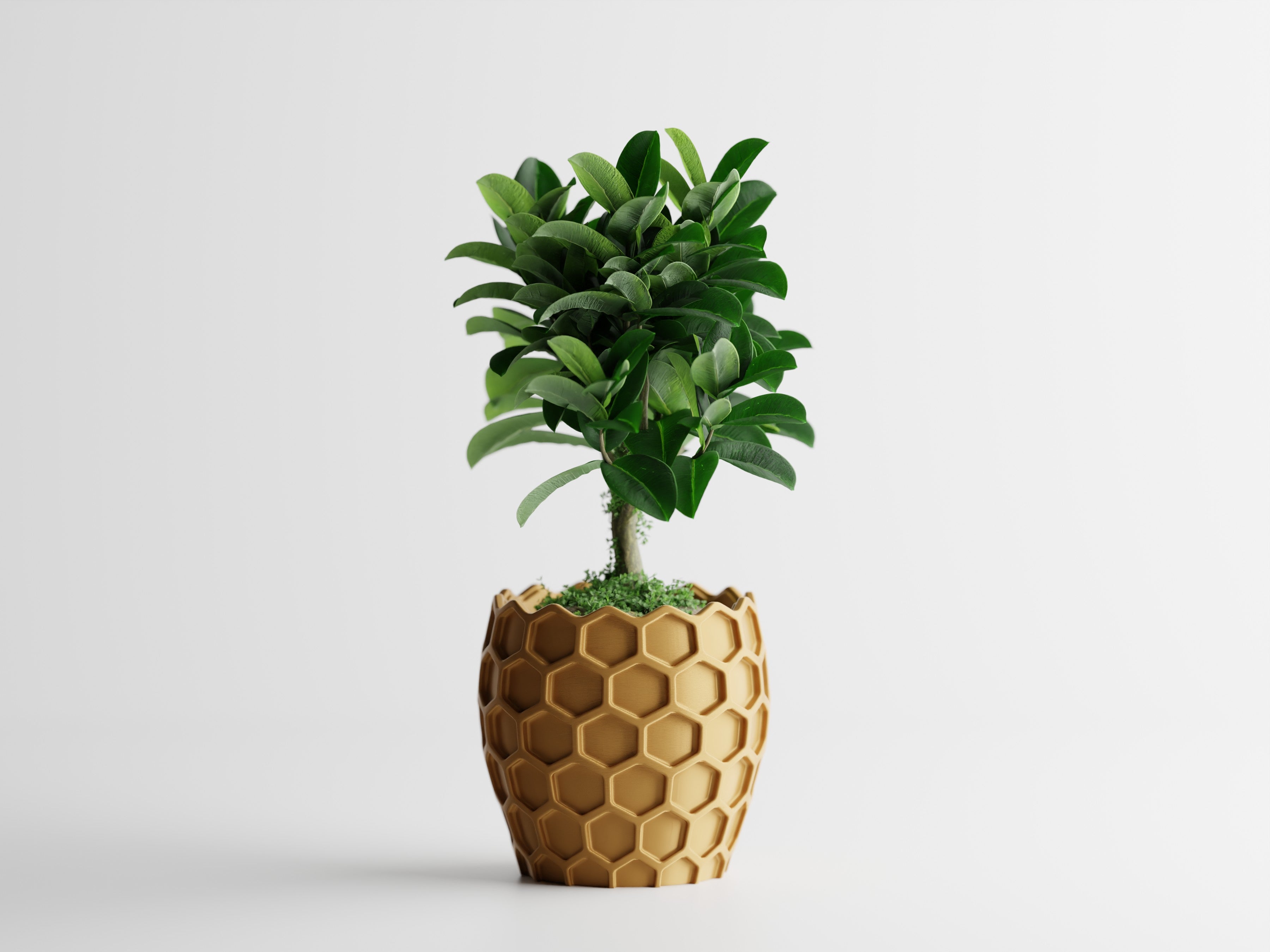 Honeycomb Hexagon 3D Printed Planter