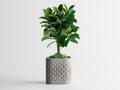 Wave Pattern 3D Printed Planter