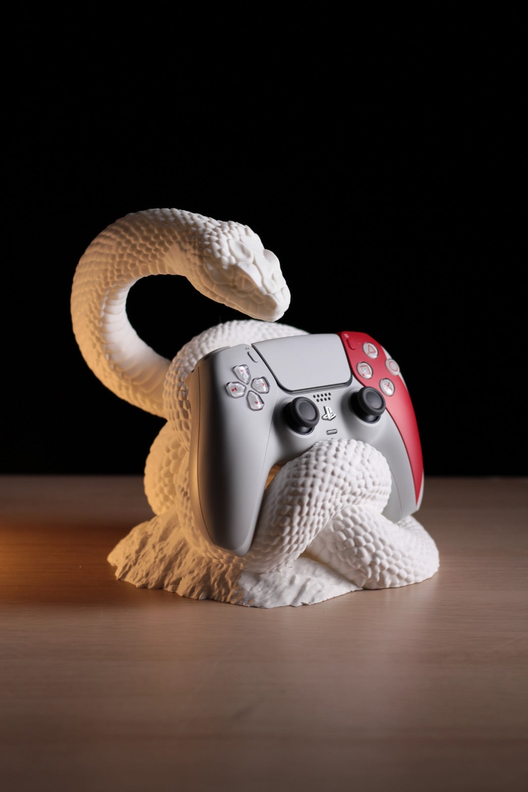 Snake controller holder