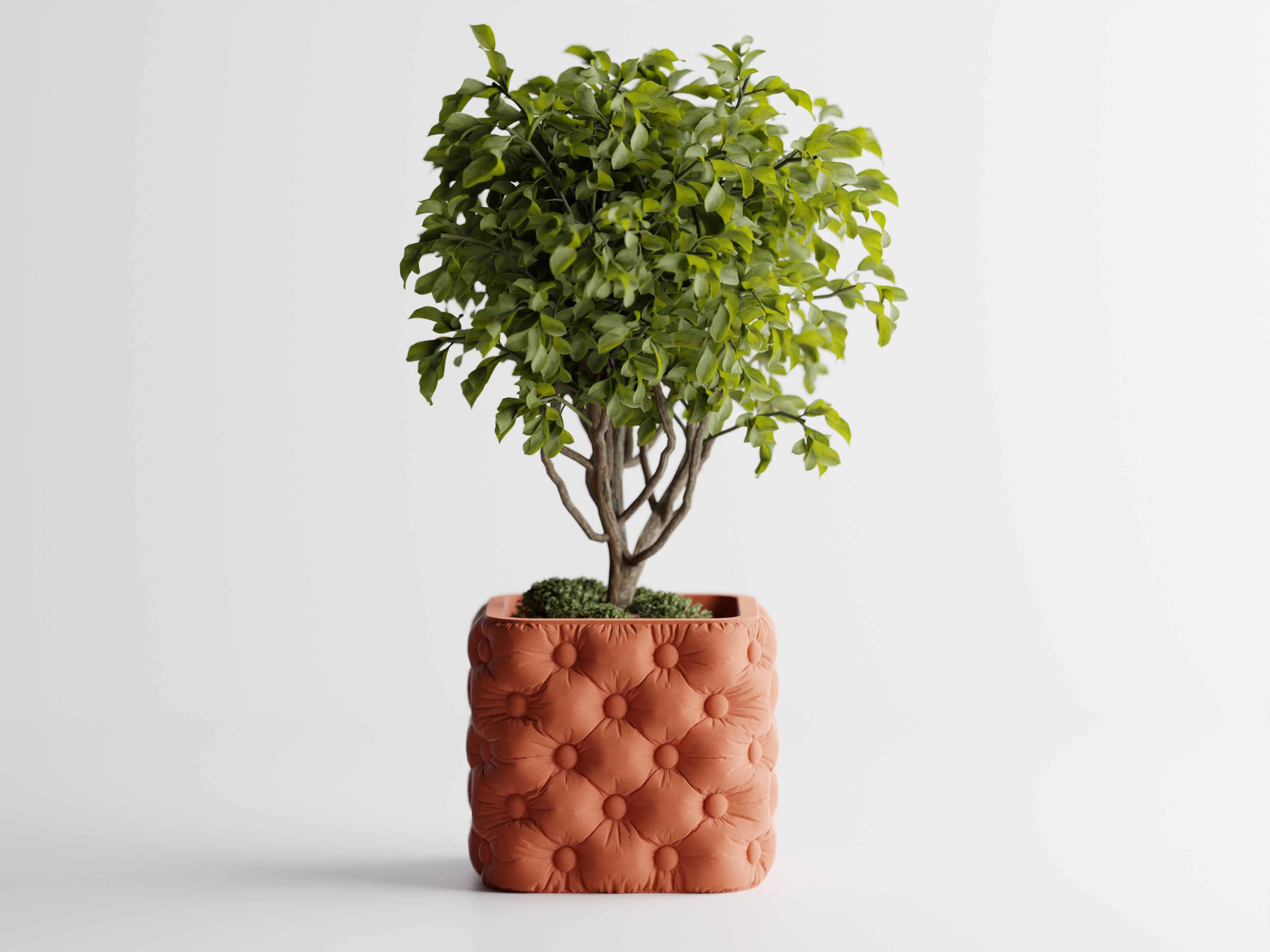 ChesterPot – Tufted Texture Planter