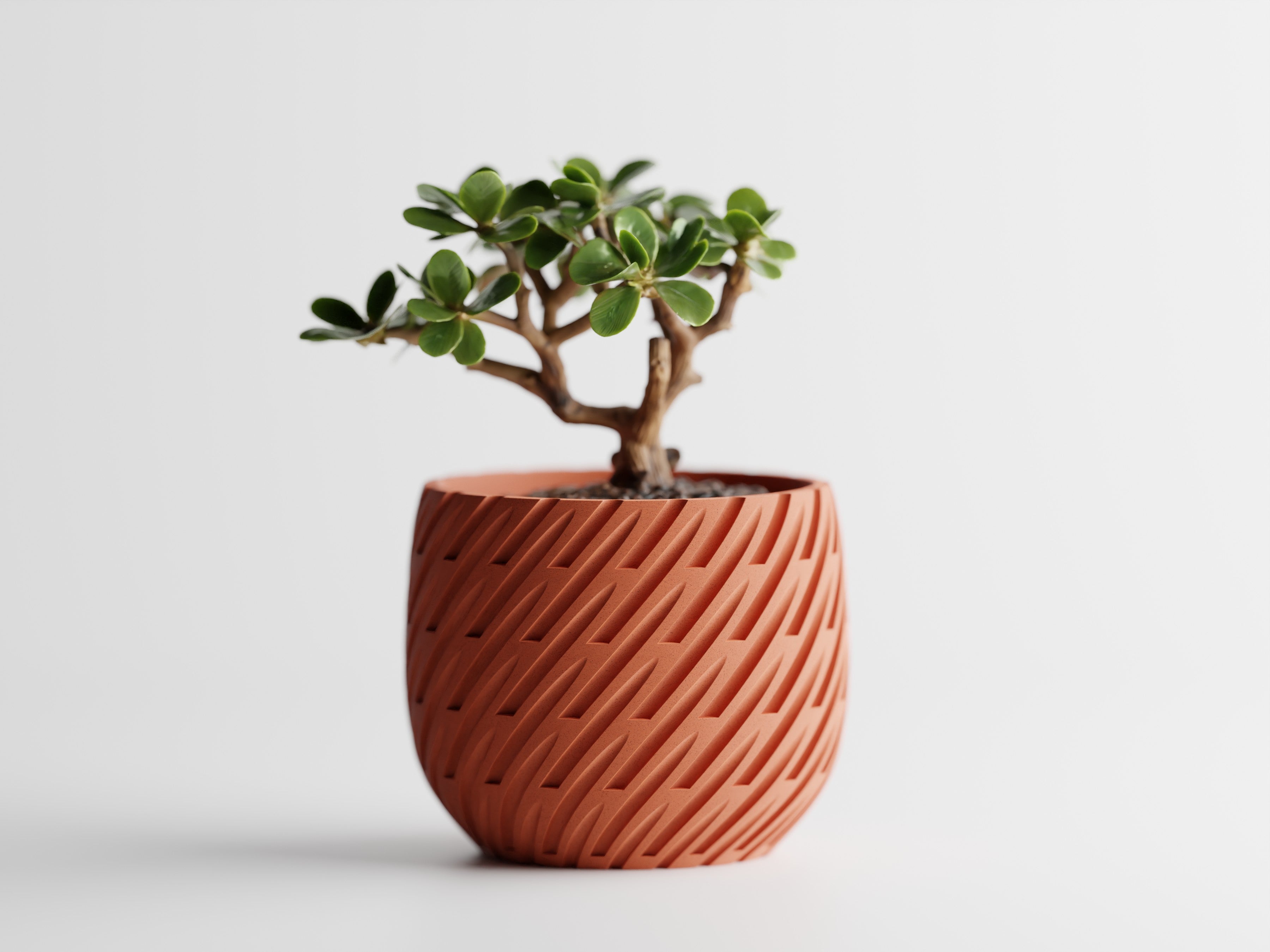 Modern Curved Plant Pot – Angled Slash / Diagonal Line Pattern