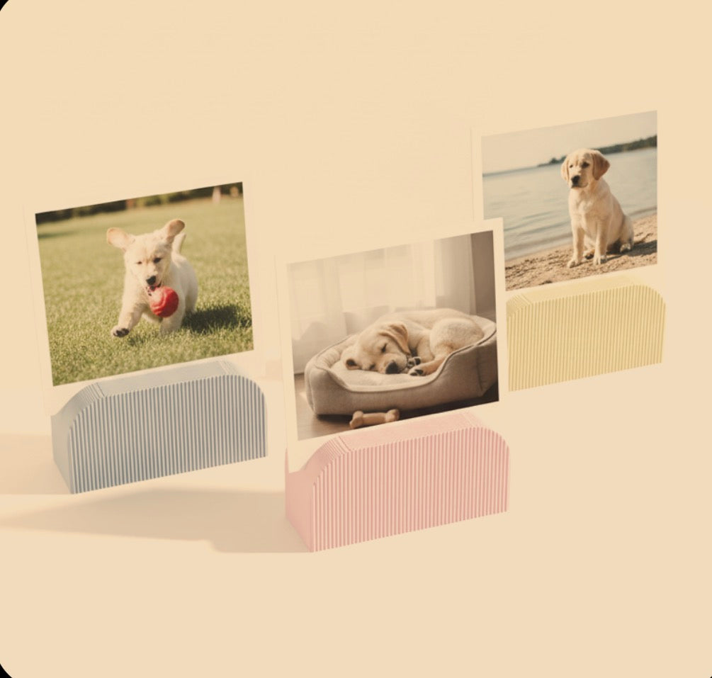 Polaroid Photo Holder image 0